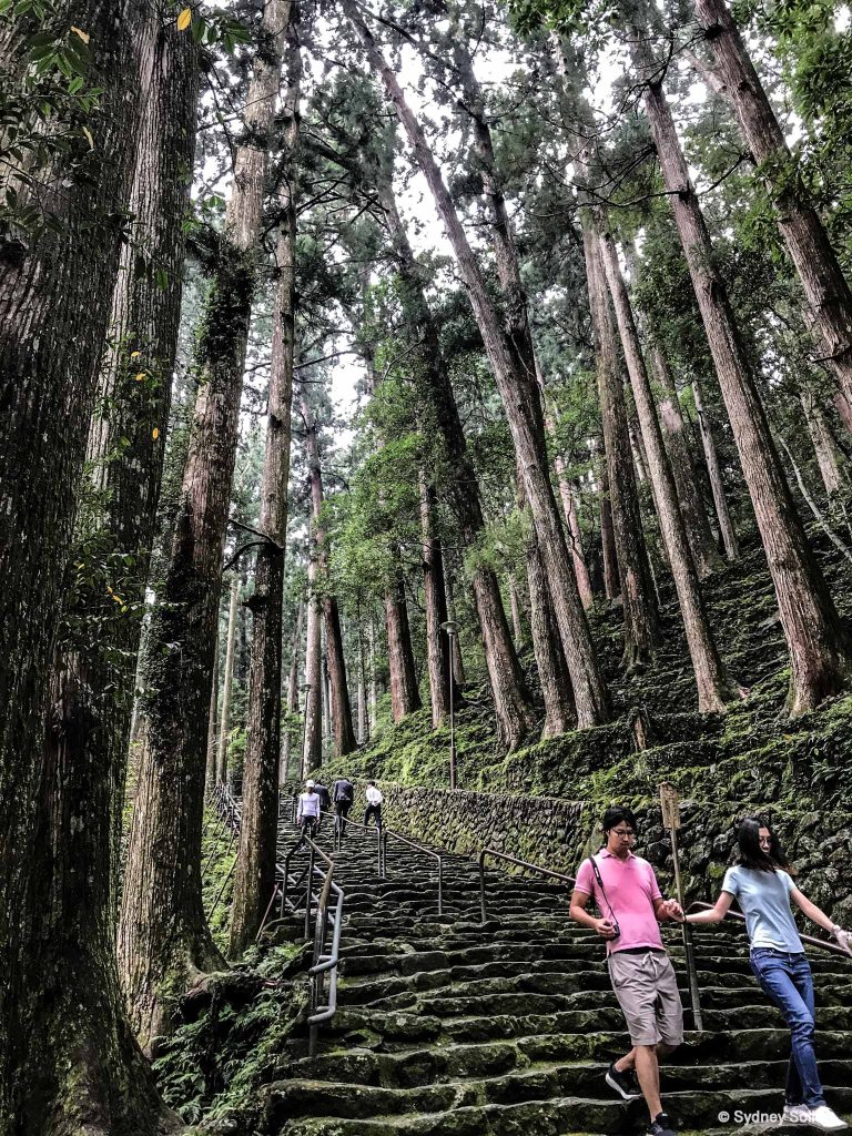 Steps along the Kumano Kodo descending to Hiro Jinja Shinto Shrine and Nachi Waterfall, Wakayama Prefecture, Japan.